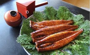 三河一色産 鰻の蒲焼き 3尾 計540g以上 うなぎ処はちすか　H026-031