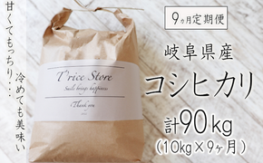 BE-17b-R7 【９カ月定期便】岐阜県産コシヒカリ 10kg(合計９０kg)