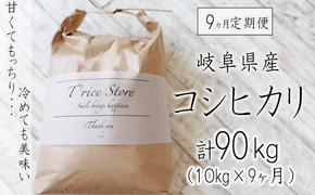 BE-17b 【９カ月定期便】岐阜県産コシヒカリ 10kg(合計９０kg)