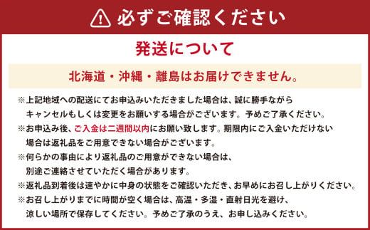 【指定日必須】天草産 活車海老 600g（15～25尾入り）活き海老 車エビ【発送期間2024年11月05日から2025年4月30日】