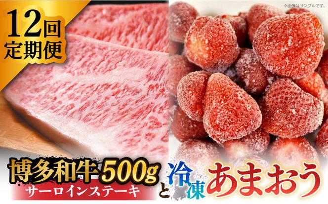 yz㒬zyS12ցzy󂠂za T[CXe[L  ܂ Zbg1.3kgsz㒬tyMEAT PLUSz[ABBP105]