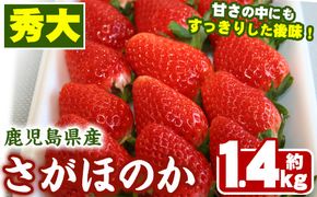 ＜先行予約受付中！2026年1月中旬以降順次発送予定＞鹿児島県産いちご(さがほのか「秀大」・計約1.4kg・40粒×2箱) 鹿児島 阿久根 果物 フルーツ イチゴ いちご 苺 さがほのか デザート おやつ 期間限定【鹿児島いずみ農業協同組合】akn018-21