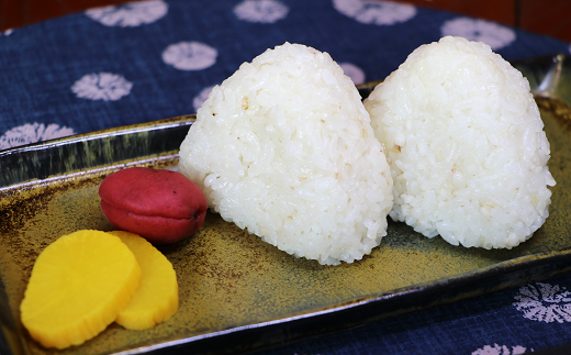 【スピード発送】 精白 ハトムギ 300g×3袋（ひきわりタイプ） 0B1-106 雑穀 スーパーフード 美容 健康 はとむぎ ひきわり