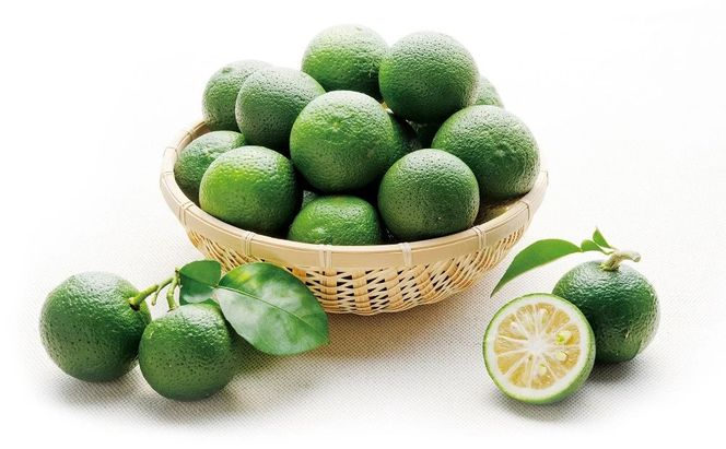 B4-63A 大分県産かぼす果汁（2本）1000ml×2本