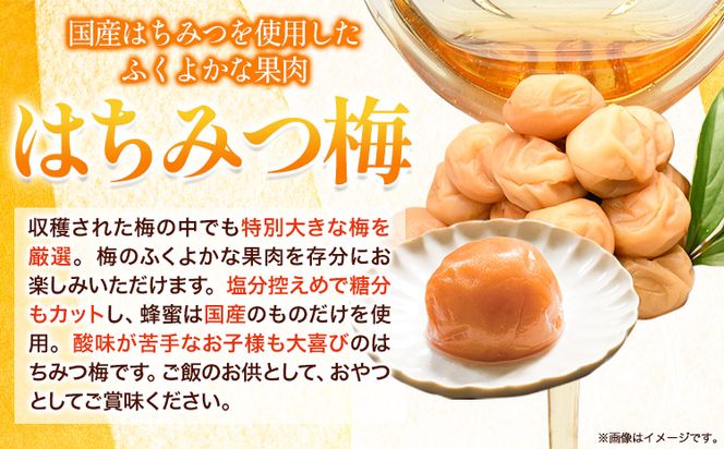 高級南高梅 はちみつ梅 800g 網代模様仕上紀州塗箱入り 澤株式会社《90日以内に出荷予定(土日祝除く)》和歌山県 日高町 梅干し はちみつ梅 はちみつ 蜂蜜 紀州南高梅 紀州塗 送料無料---wsh_swa10_90d_25_20000_800g---