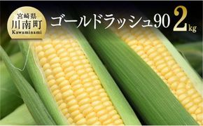 【令和8年発送】政岡さんちのスイートコーン『ゴールドラッシュ90』2kg 【 先行予約 数量限定 期間限定 とうもろこし スイートコーン 2026年発送 先行受付 宮崎県産 九州産 】 [C06501]