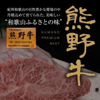 熊野牛 リブロース 焼肉用 500g【MT21】     CF50
