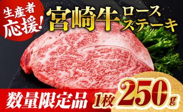 [数量限定]宮崎牛ロースステーキ1枚 (250g) 肉 牛肉 宮崎県産 黒毛和牛 [D0601]