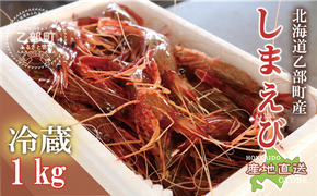 ＜シマエビ(冷蔵)　1kg＞甘く濃厚な味わい！ 北海道 道産 国産 乙部町産 しまえび 海老 日本海 天然 魚介類 新鮮 希少 お刺身 エビチリ 漁師直送 産地直送 送料無料