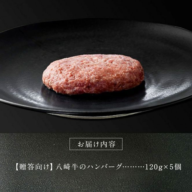 八崎牛のハンバーグ 120g×5個【贈答向け】 N0105-ZA596