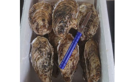 北海道 仙鳳趾名産 牡蠣 150g～199g×15コ＋かきナイフ付き かき漁師直送K4-3＜一部出荷期間：2026年7月1日～11月末＞＜センポウシ : 釧路町の東 厚岸湾の西 カキの名産地＞ | せんぽうし 牡蠣 生食用 殻付き 生牡蠣 絶品 産地直送 北海道 釧路町 釧路超 特産品 121-1269-52