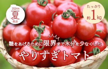 【先行予約】やりすぎトマト（4パック計約1kg）（夏季）（2024年6月中旬以降発送） DE00056