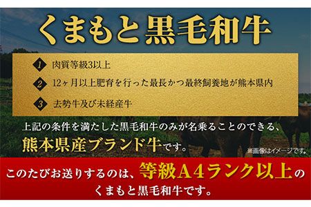 くまもと黒毛和牛 サーロイン リブロース 内モモ 希少部位 500g 牛肉 焼肉用 冷凍 《2026年1月中旬-3月末頃出荷》 くまもと黒毛和牛 黒毛和牛 焼肉 肉 お肉 熊本県 南阿蘇村---mna_fkgsrumky_bc13_r7_12000_500g---
