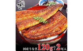 268.国産うなぎ蒲焼2本セット（120～149g）(A268-1)