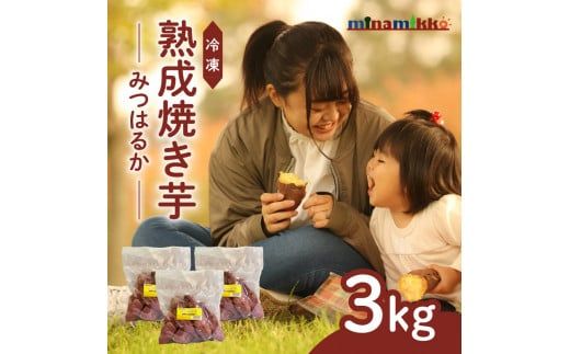 冷凍　熟成焼き芋みつはるか　K169-001