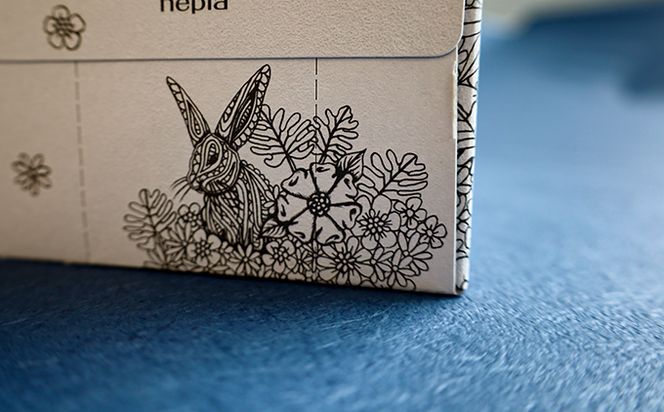 大人の鼻セレブ20箱セット 