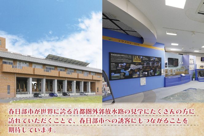 BM003-1 見どころ満載！首都圏外郭放水路インペラ体験コース1名様チケット（引換券）