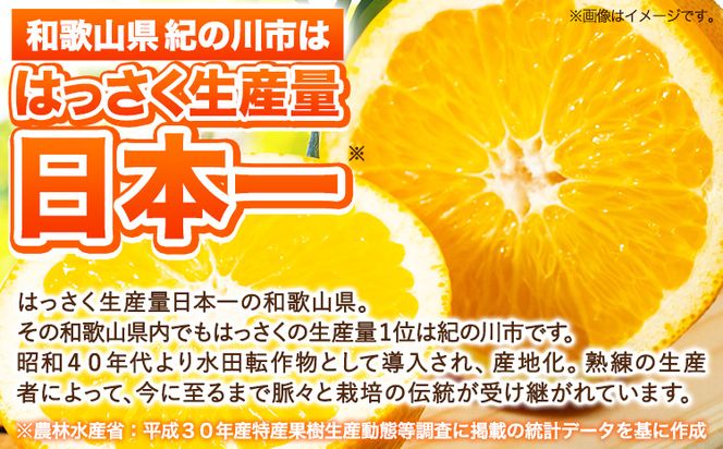 八朔 約10kg ｍ＆ｎ果実園《2025年1月下旬-3月中旬頃出荷》和歌山県 紀の川市 果物 フルーツ はっさく 柑橘類 送料無料---wsk_mnk1_h13_23_13000_10kg---