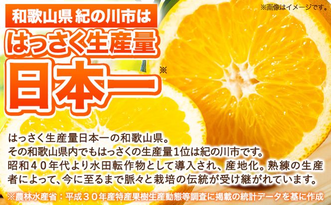 八朔 約10kg ｍ＆ｎ果実園《2027年1月下旬-3月中旬頃出荷》和歌山県 紀の川市 果物 フルーツ はっさく 柑橘類 送料無料---wsk_mnk1_h13_23_13000_10kg---