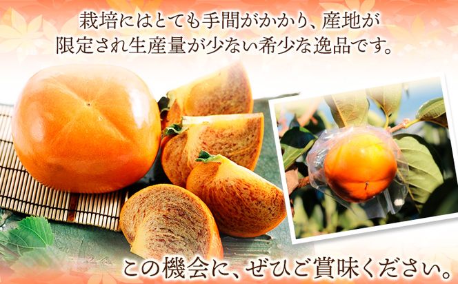 ◆2026年先行予約◆希少 紀の川柿 約3.5kg~4kg（種無し） 秀選品 (玉数おまかせ) 厳選館 《2026年11月上旬-11月中旬頃出荷》 和歌山県 日高町 柿 カキ かき ジューシー フルーツ 青果 果物---wsh_gsk167_11j11c_25_19000_4kg---