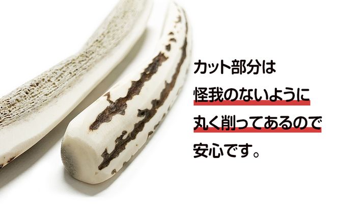 鹿の角 エゾシカ 犬のおもちゃ 『鹿角さん』 中型犬用　四つ割り　1本 CB029