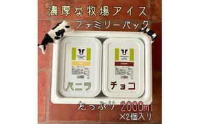 【北海道産搾りたて生乳使用】ひらかわ牧場のアイスクリーム 2個セットB バニラ チョコ 2Lパック ファミリー デザート スイーツ お取り寄せ ギフト せたな町 ふるさと納税
