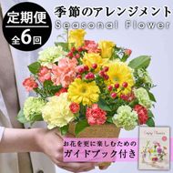 ＜定期便・6回(連続)＞季節のお楽しみフラワーアレンジメント(生花：Sサイズ)花 花束 フラワー ギフト 贈り物 インテリア【FM-6】【フラワーショップまつだ】