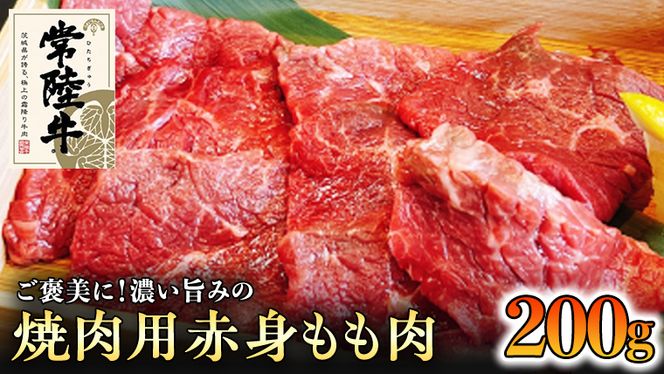 y錧vszyaz헤 ēp  Ԑg  200g Y  Ă o[xL[ BBQ uh  Mtg 蕨 j  [BQ003us]