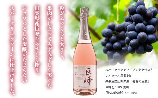 巨峰スパークリングワイン２本セット FAE010