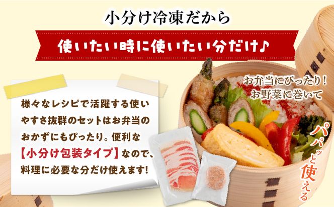 宮崎県産豚 ロース1kg&チーズインハンバーグ5個 セット_M132-039