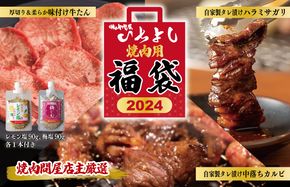 G1368 焼肉問屋いちよし 店主厳選 人気焼肉 福袋（牛たん/ハラミ/中落カルビ）