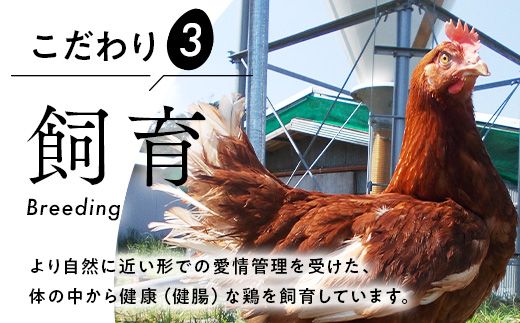 【定期便6ヶ月】《毎月3日と18日にお届け》御殿たまご 赤たまご 24個入×月2回（破損保障含む）もみがら入 ｜ 卵 タマゴ 玉子 たまごかけご飯 生卵 鶏卵 卵焼き 国産 御殿場産 ※北海道・沖縄・離島への配送不可