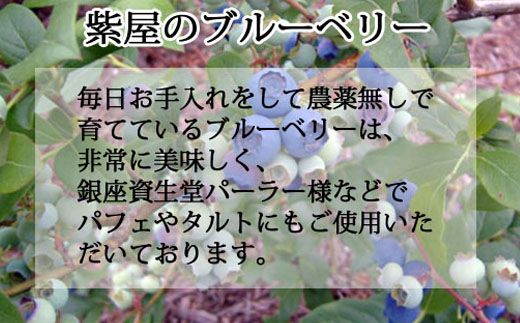 紫屋のブルーベリージュース＆ジャムセット