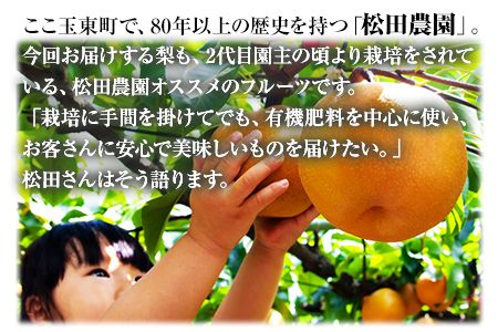 【先行予約】『松田農園』の玉東梨 (約5kg 8-18玉前後) 予約受付中《7月下旬-9月末頃出荷》 熊本県 玉名郡 玉東町 梨 ナシ フルーツ 果物 送料無料 ギフト 贈答 5kg---sg_cmtdnasi_cf79_26_16000_5kg---