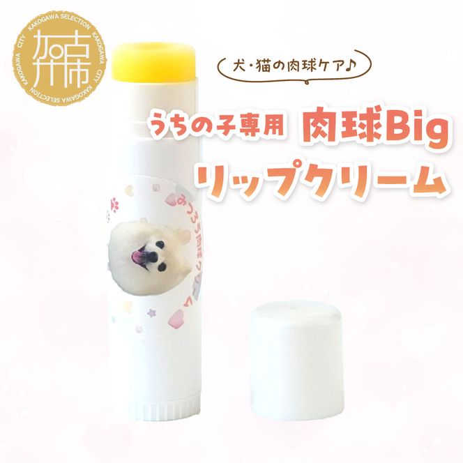 うちの子専用肉球 Bigリップクリーム 《 ペットグッズ 愛犬 ケア 国産みつろう100% オーガニック スティックタイプ 大容量 ホホバオイル 》