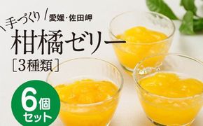 【皮までまるごと国産無添加】愛媛まるごとゼリーセット（6個）