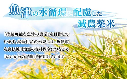 環境配慮「魚津のコシヒカリ（晃米）」10kg（白米）おこめ 富山県魚津市 MK農産