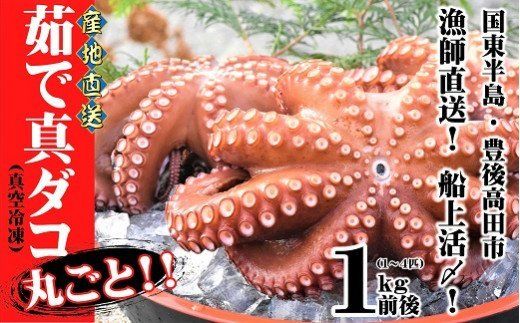 C4-12 船上活締め！！ゆで真ダコ丸ごと（1～4匹）