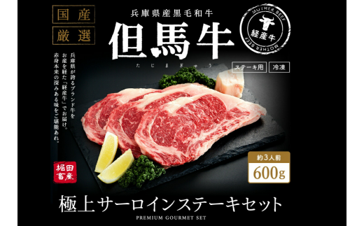 020AA02N.いちかわ精肉店「サーロインステーキ」200g×3