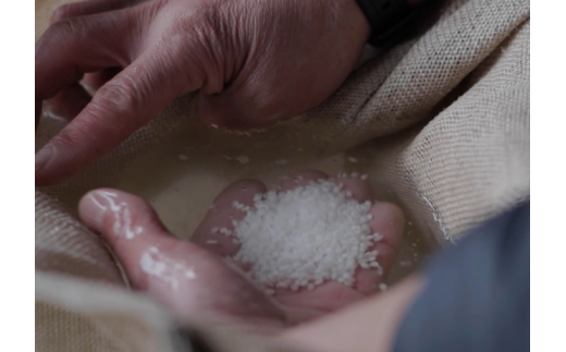 188. 平成30年東海地区「純米の部」で1位になった『純米玉柏』1.8L 日本酒 お酒 地酒