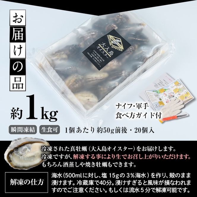 大入島 バージン オイスター 牡蠣 約1kg (1個約50g前後・20個入) 生食可 冷凍 | 真牡蠣 かき 貝 かい 酒蒸し 焼き牡蠣 パスタ 国産 一口サイズ ご当地 お取り寄せ グルメ 大分県 佐伯市【ED06】【(合)新栄丸】