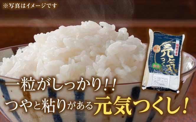 【令和5年産】福岡県産米食べ比べ「夢つくし」と「元気つくし」セット 白米 計10kg《築上町》【株式会社ゼロプラス】[ABDD013]