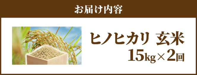新米 令和5年産米 お米 玄米 ヒノヒカリ 15kg×2回 むかばき山 カームファム　N0138-ZC049