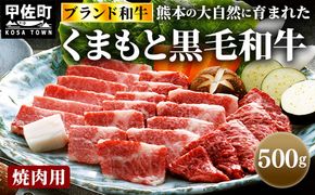 くまもと黒毛和牛焼肉用500g