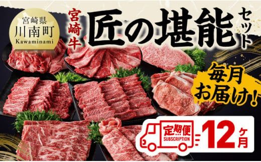 [定期便]宮崎牛 匠の堪能セット 12か月定期便 [ 肉 牛肉 国産 黒毛和牛 宮崎牛 全12回 焼肉 しゃぶしゃぶ 焼きしゃぶ BBQ 宮崎県 川南町 ][D11401t12]