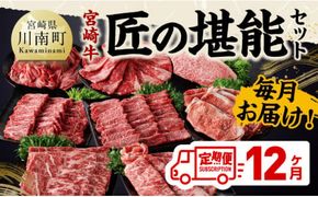 【定期便】宮崎牛　匠の堪能セット 12か月定期便 【 肉 牛肉 国産 黒毛和牛 宮崎牛 全12回 焼肉 しゃぶしゃぶ 焼きしゃぶ BBQ 宮崎県 川南町 】[D11401t12]