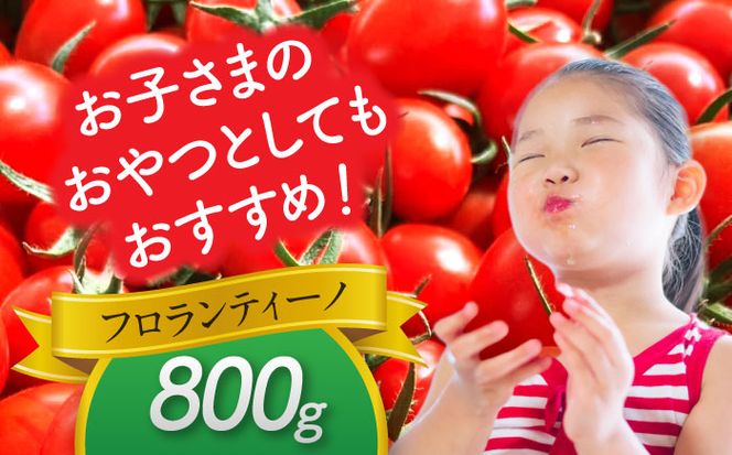 【先行予約】　ミニトマト(フロランティーノ)　800g　トマト　野菜　新鮮　期間限定トマト　愛西市/株式会社石原農園[AEBG004]