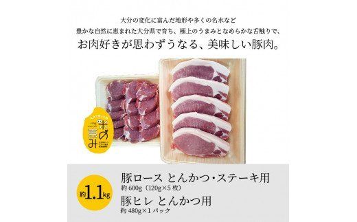 【A02023】米の恵み　ロース・ヒレ・とんかつ食べ尽しセット　約1.1kg