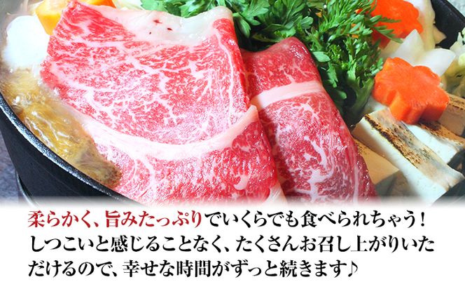 肥後のあか牛 すき焼き用 500g 1000g 株式会社KAM Brewing《90日以内に出荷予定(土日祝除く)》---so_fkamhgsk_90d_23_15500_500g---