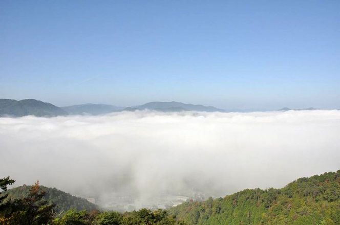  亀岡カントリークラブ利用補助券B 6,000円相当分×1枚